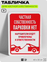 Табличка для частной территории "Частная собственность, парковки нет", на дом, для участка, организаций, предупреждающая, 40х30 см, Silver Plane x Айдентика Технолоджи