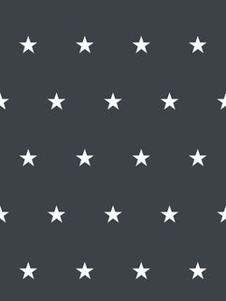 Постельное белье Сказка "Альтаир" 2-спальный Наволочка 50х70 см 2 шт Простынь на резинке 160х200 см Пододеяльник 175х215 см, поплин