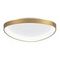 Потолочный светодиодный светильник Citilux Genka Smart CL756A142