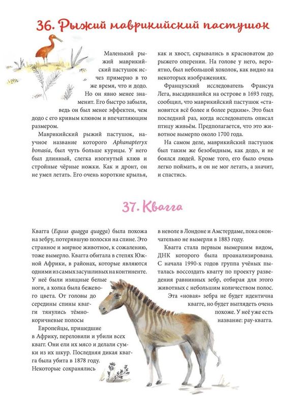 Жил да был додо. О вымирании и выживании видов