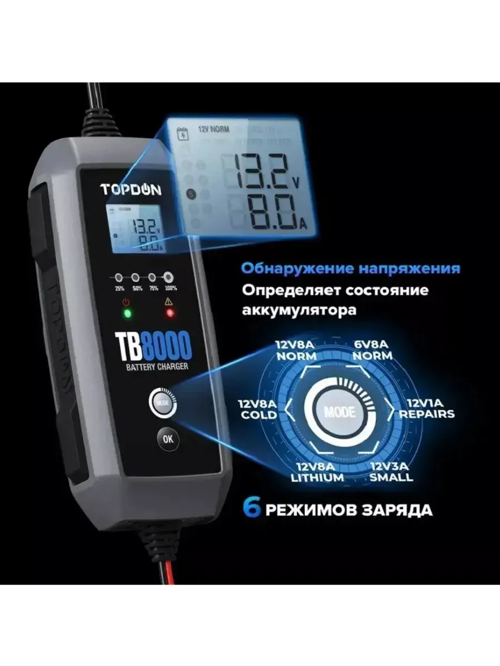 Зарядное устройство TOPDON TB8000 (8A)