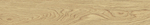 20x120 VividWood Дуб Матовый R10A