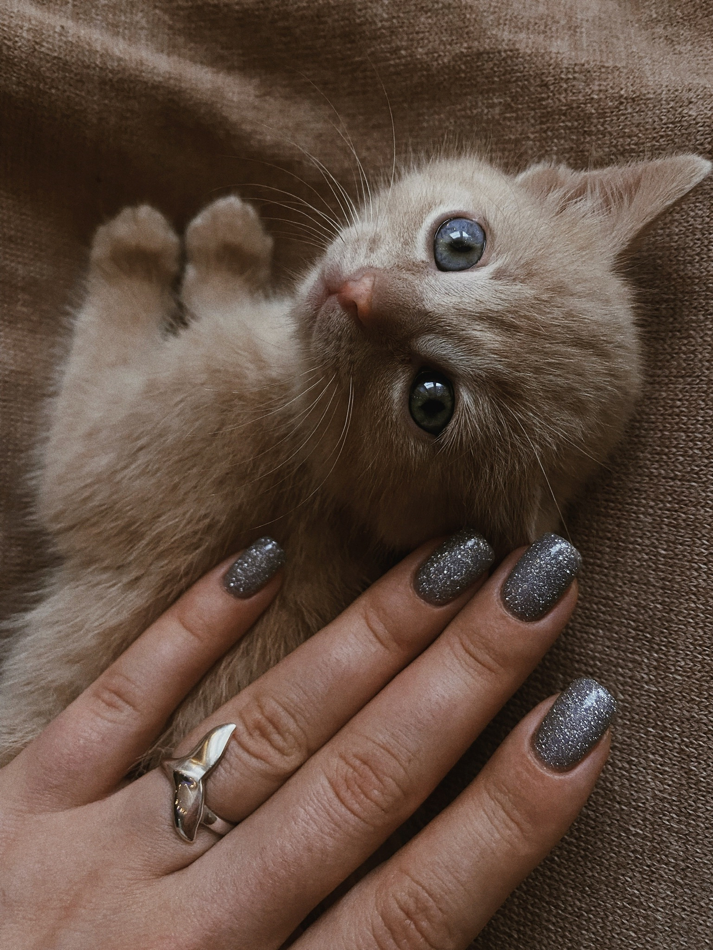 Кольцо кит Ocean