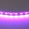 Светодиодная лента Lightstar 12W/m 120LED/m фиолетовый 5M 420518