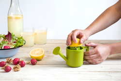 Соковыжималка для лимонов lemoniere