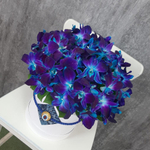 Букет орхидей «Мой генерал»