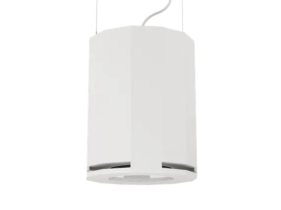 CVGAUDIO SUBone model DH-8W/CR/T