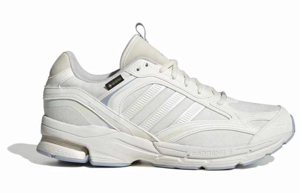 Кроссовки Adidas Spiritain 2000 Gtx (Женская размерная сетка)