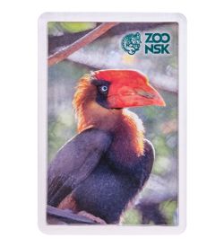 МТ- 001/19 Магнит «Новосибирский зоопарк»