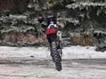 Мотоцикл FIDELIS Esh YBS300 (174MN-5) ENDURO