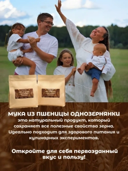 Мука из пшеницы однозернянки цельнозерновая, 800 г
