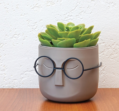 Кашпо СТИВ D115мм 0,65л с дренажной вставкой М3079