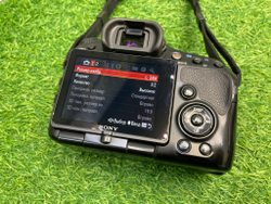 Sony A65 22.000 кадров