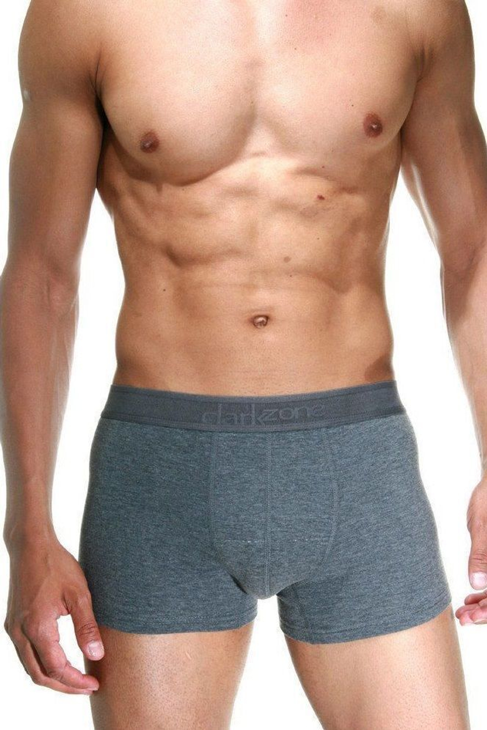 Темно-серые хлопковые мужские трусы-боксеры (Размер: L) (Цвет: темно-серый)