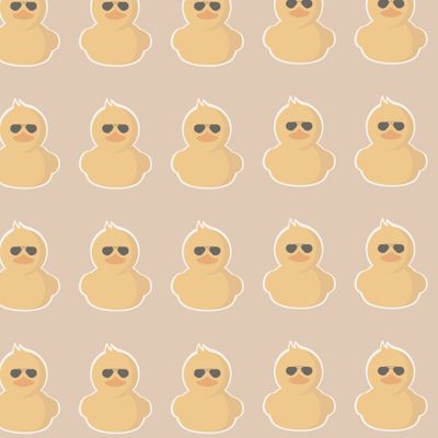 Duck Pattern