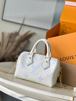 Louis Vuitton Speedy 20