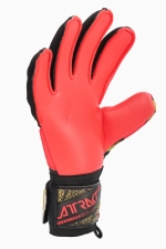 Вратарские перчатки Reusch Attrakt Silver