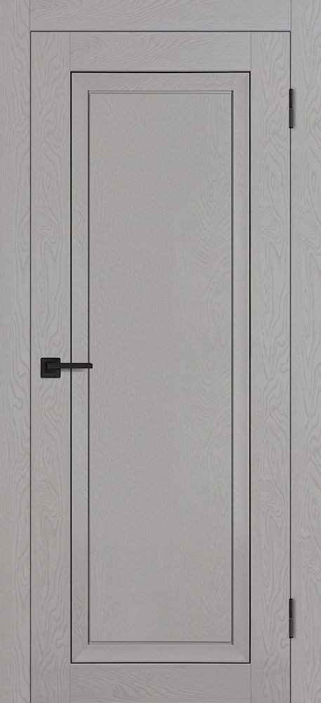 Дверь PST-26 / Цвет серый ясень / Двери PROFILO PORTE