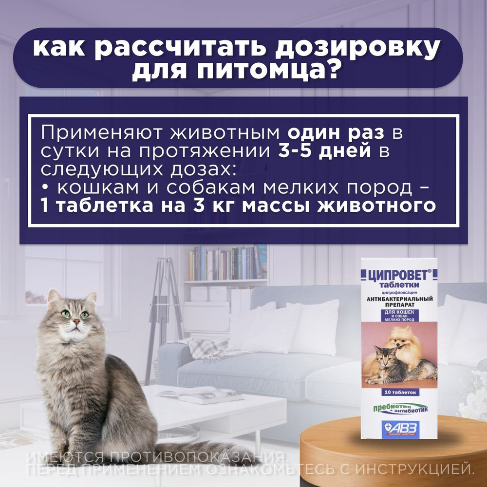 Антибактериальный препарат АВЗ Ципровет для кошек, щенков и мелких собак, 10 таблеток