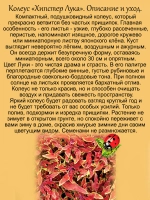 Колеус Хипстер Лука