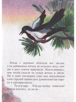 Сойка Зоя и птичье братство