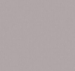 Сканди Дзен Сканди