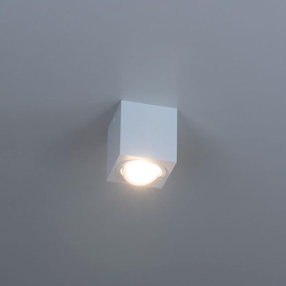 Потолочный светильник Citilux Дюрен CL538211