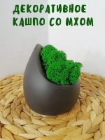 Декоративное кашпо из гипса со мхом черный матовый