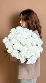 Охапка хризантем сорта Алтай, белые, 10 веток