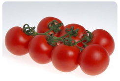 Сиде F1 семена томата индетерминантного (Sakata / Саката)