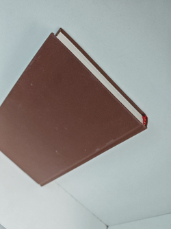 Антоновские яблоки