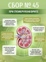 Сбор № 45 При гломерулонефрите