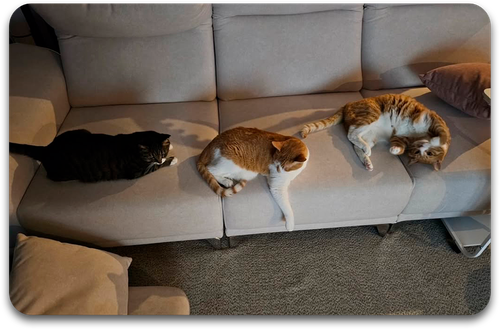 Карта / STRAY KIDS #4300