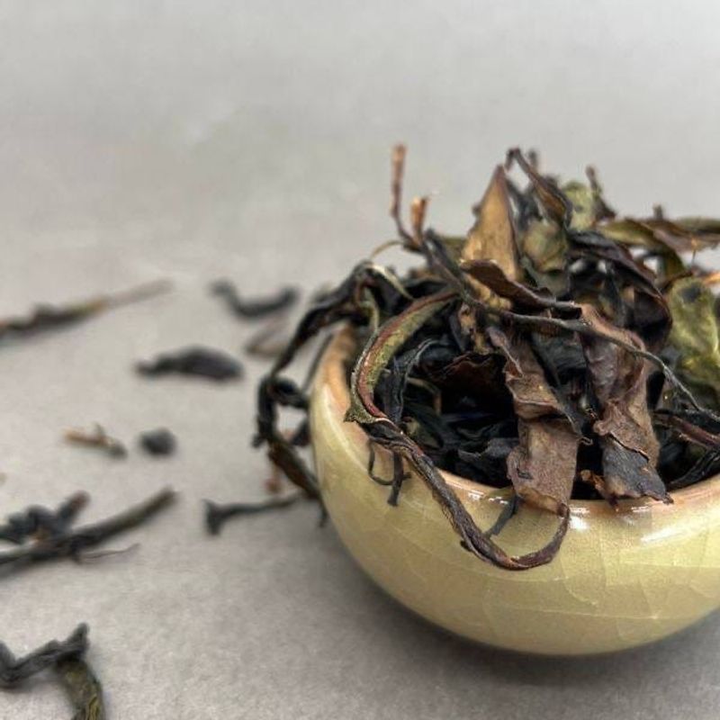 СИО улун из Гурии