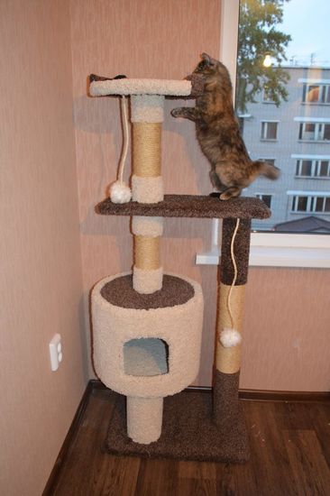 Дом для котят Д-2