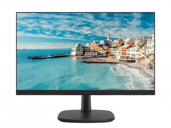 Монитор Hikvision DS-D5022FN-C