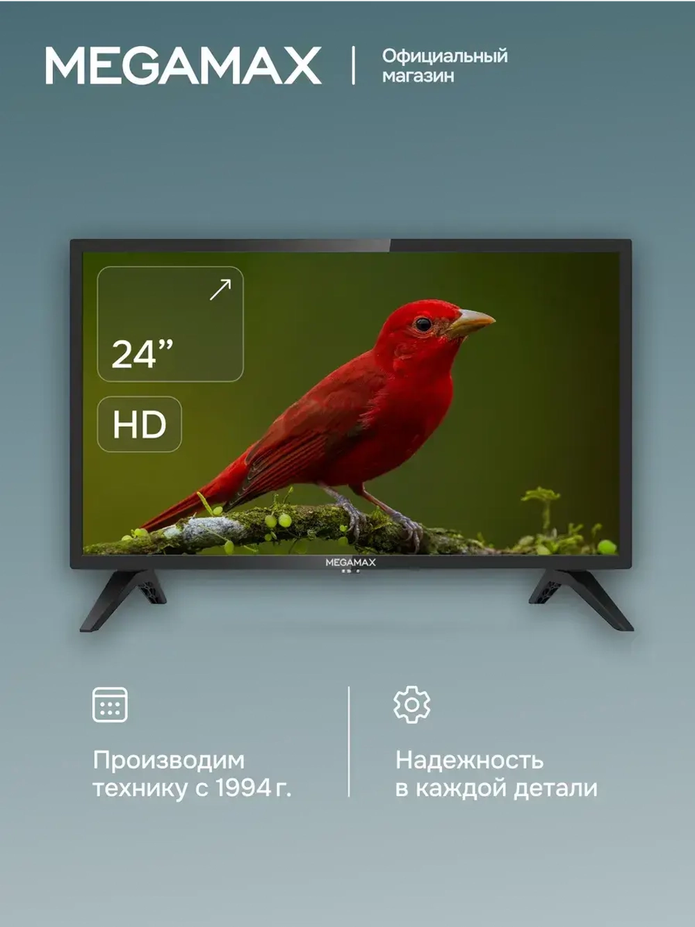 Телевизор 24MG11H 24", HD ready