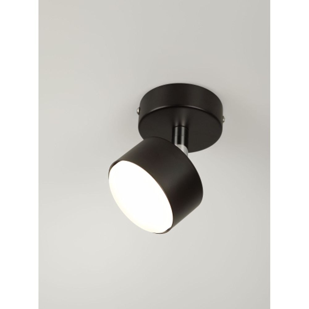 Светильник настенно-потолочный спот Rivoli Alesta 7079-701 1хGX53 15 Вт поворотный | Rivoli