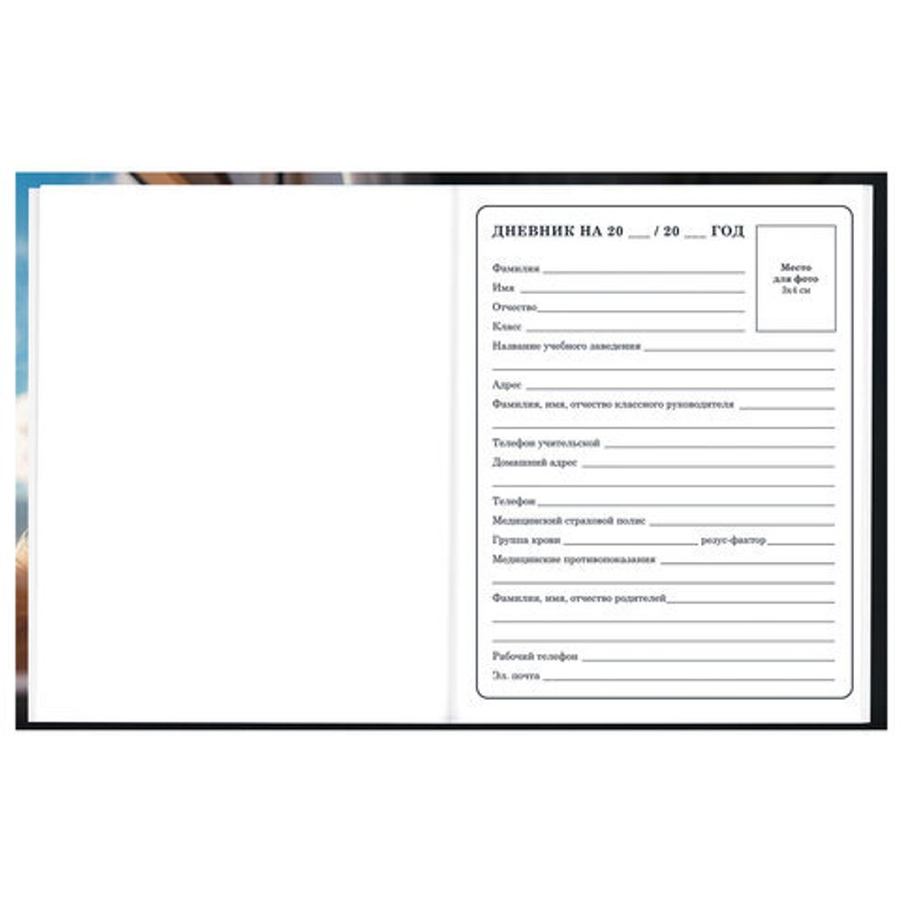 Дневник 1-4 класс 48 л., твердый, BRAUBERG, глянцевая ламинация, с подсказом, "Котик", 107156