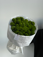 Моно букет из диантусов сорта Грин трик 35 шт