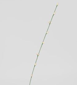 TR 414 Ветка жасмина