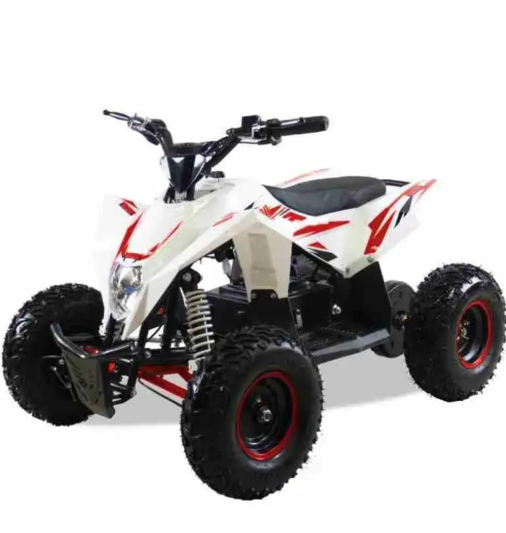 Электроквадроцикл MOTAX GEKKON 1300W