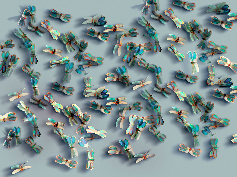 Коллекция FARFALLE