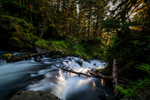 Объектив Laowa 12mm f/2.8 Lite Zero-D FF Auto Focus Sony FE
