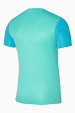 Футболка Nike Dri-FIT Trophy V