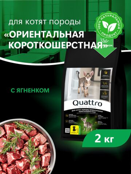 Корм сухой для котят породы Ориентальная короткошёрстная, с ягненком, 2кг, QUATTRO