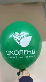 Шары с логотипом (минимум 100 шт.)