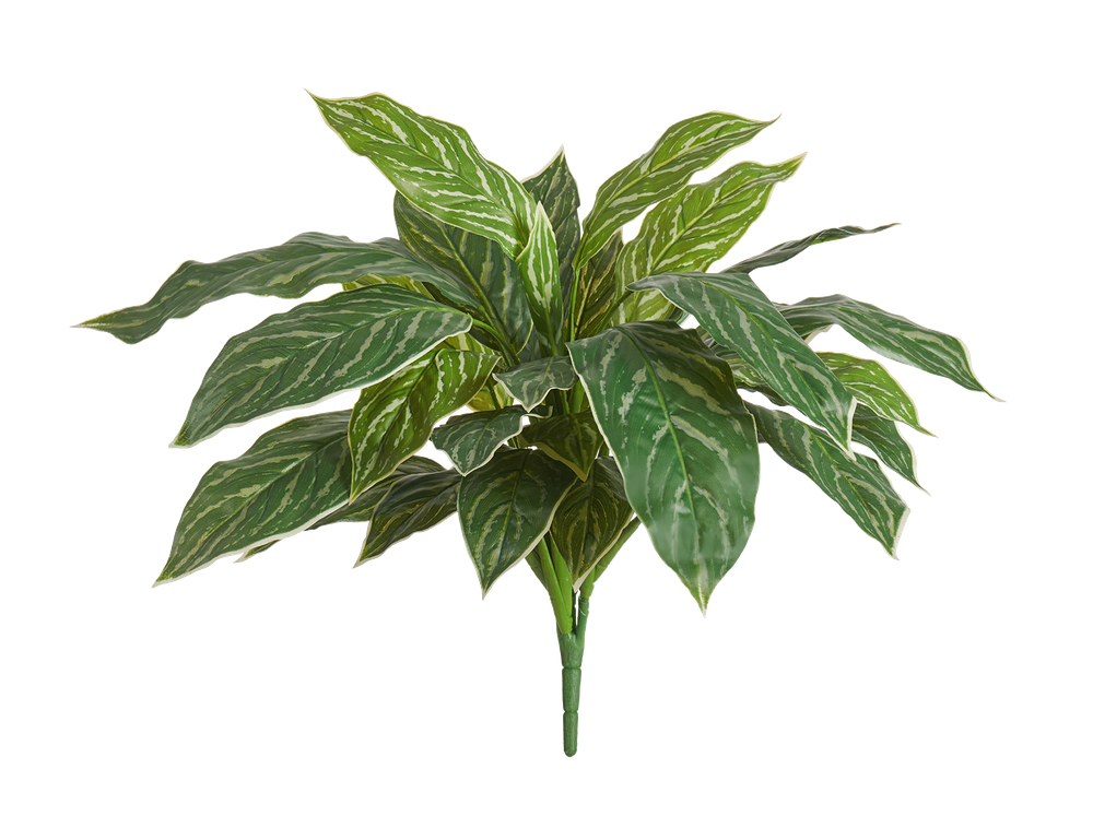 Аглаонема Страйпс куст бело-зелёный в-47 см, д-60 см (Sensitive Botanic) 12/96 20.1156N