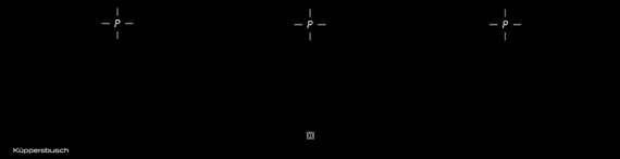 Индукционная варочная панель Kuppersbusch Kuppersbusch KI 8820.0 SR