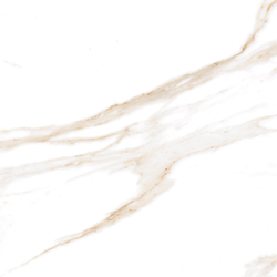 Calacatta Regal Gold Керамогранит белый 60х60 Полированный